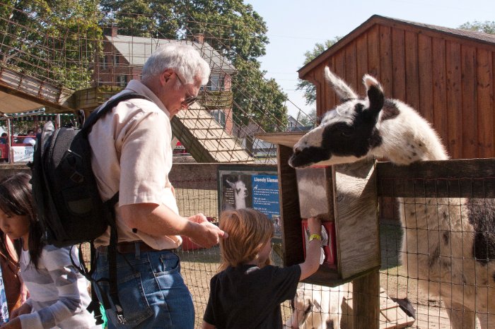 Buying grain to feed the animals